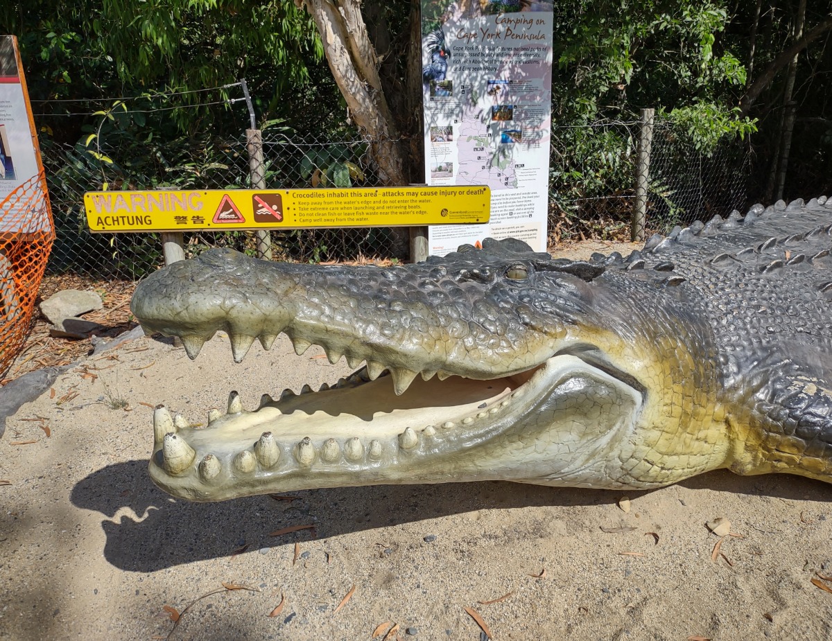 Crocodile Port Douglas Show Croc
