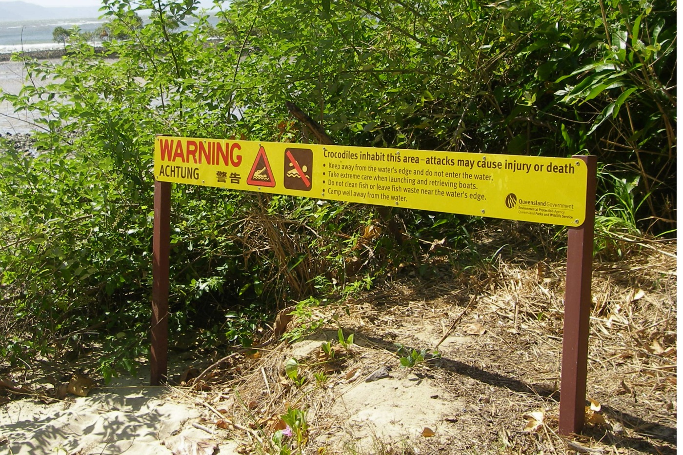 Peringatan Buaya Port Douglas